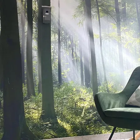 Gruen Moebliertes Wohnen Auf Zeit Mit 2 Schlafzimmern Und 65 Zoll Tv *